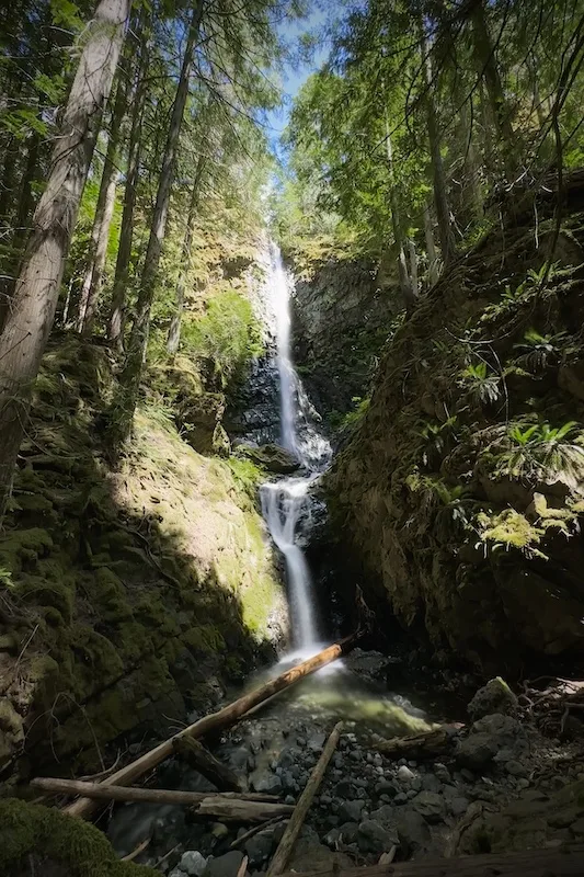 Lupin Falls is a serene waterfall in Strathcona Provincial Park.