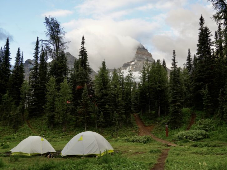 a view of Mount Assiniboine from campsites 35-40