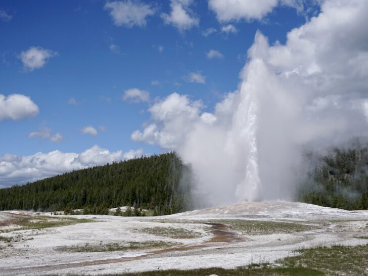 old faithful erupting in the field