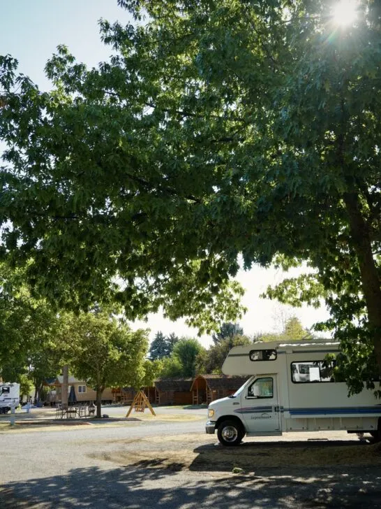 the mature trees that offer excellent shade at the Spokane KOA Journey