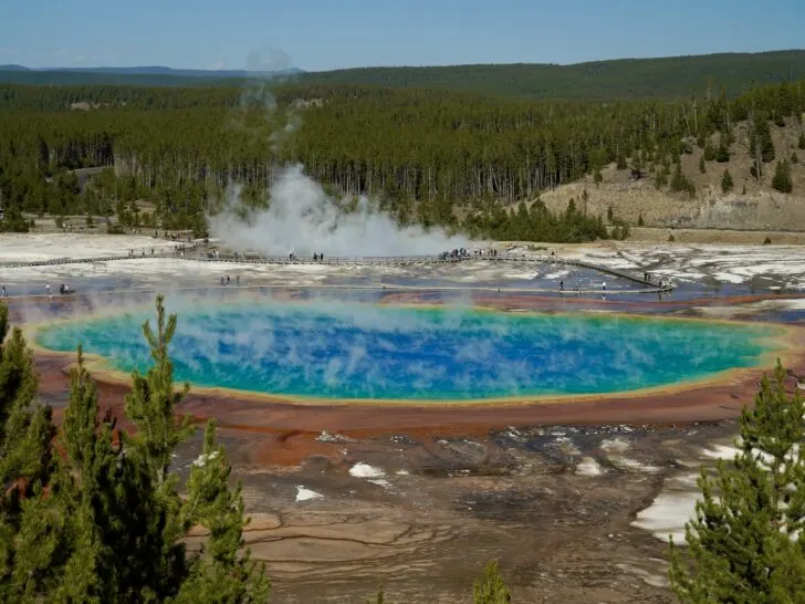 a view of Grand Prismatic Spring from the overlook trail