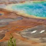 close up view of Grand Prismatic Spring from the upper overlook