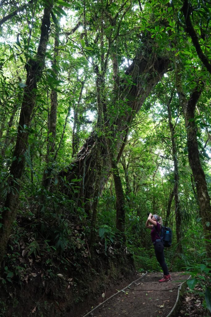 Hiking at the Monteverde Cloud Forest Reserve