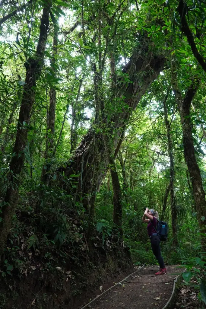 Hiking at the Monteverde Cloud Forest Reserve