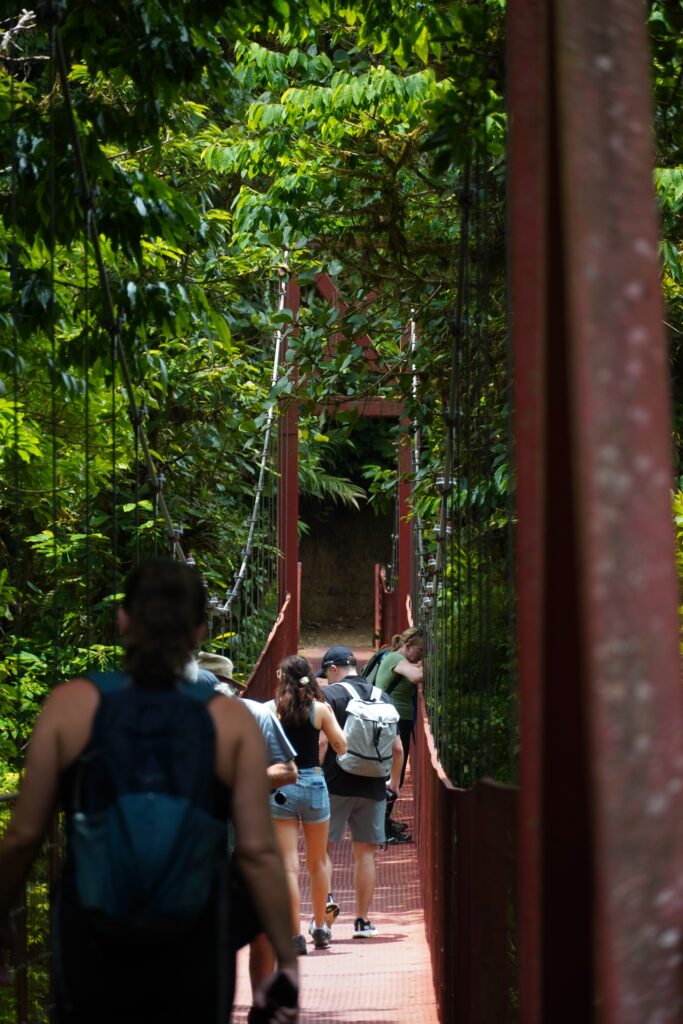 The suspension bridge at the Monteverde Cloud Forest Reserve