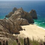 cactus with the famous cape of the rock formation in Cabo