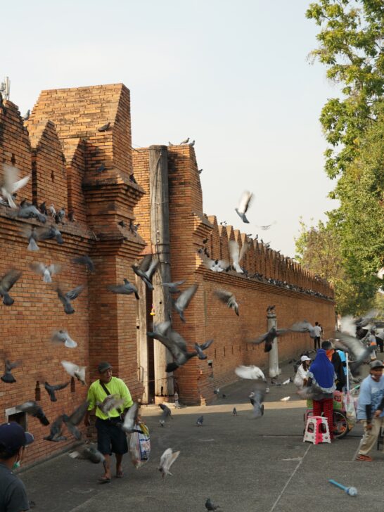 Tha Phae Gate (Pigeon Wall)