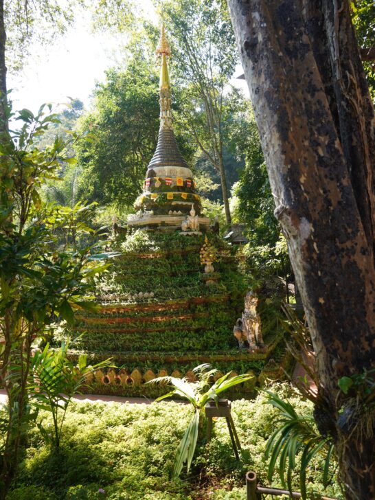 Overgrowing nature at Wat Pha Lat temple.