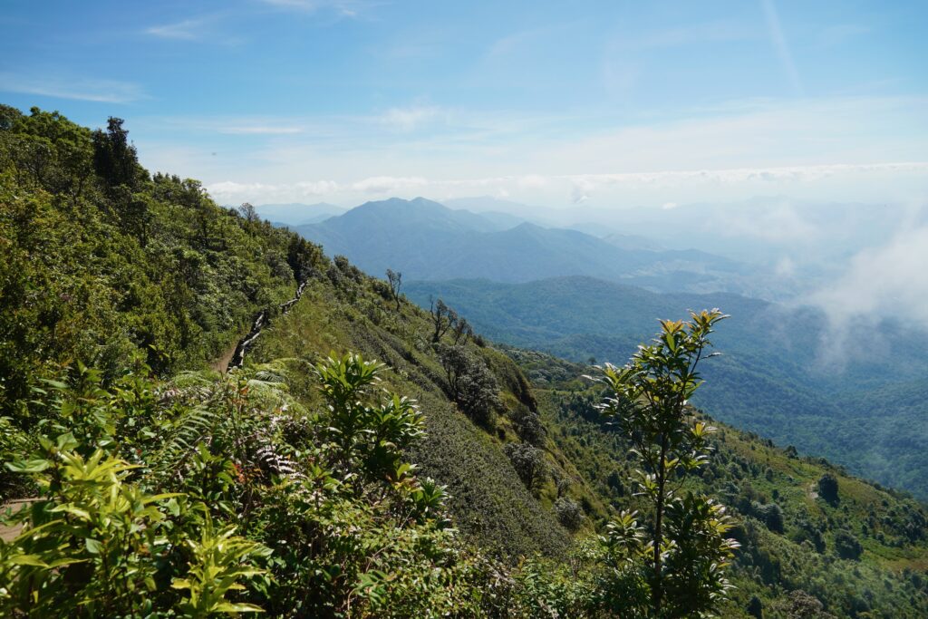 Epic mountain views from the Kew Mae Pan Nature Trail