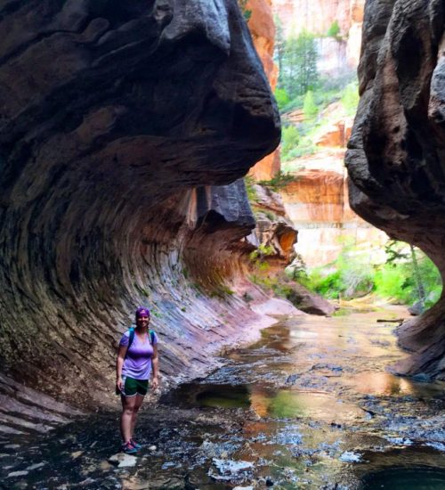 Everything you need to know about The Subway at Zion NP (bottom-up ...